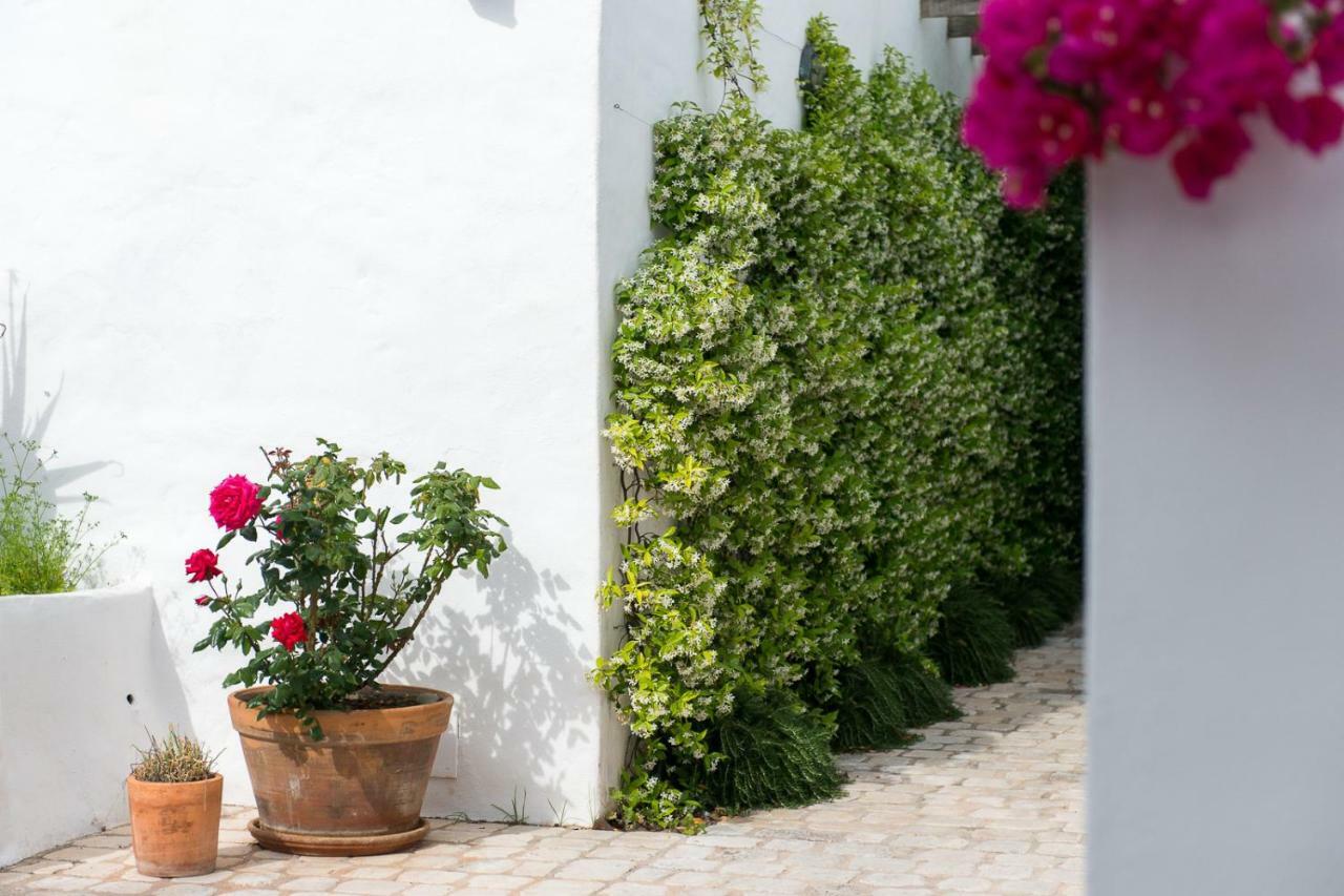 Coliving Add Livitum Hotel Ciutadella  Kültér fotó